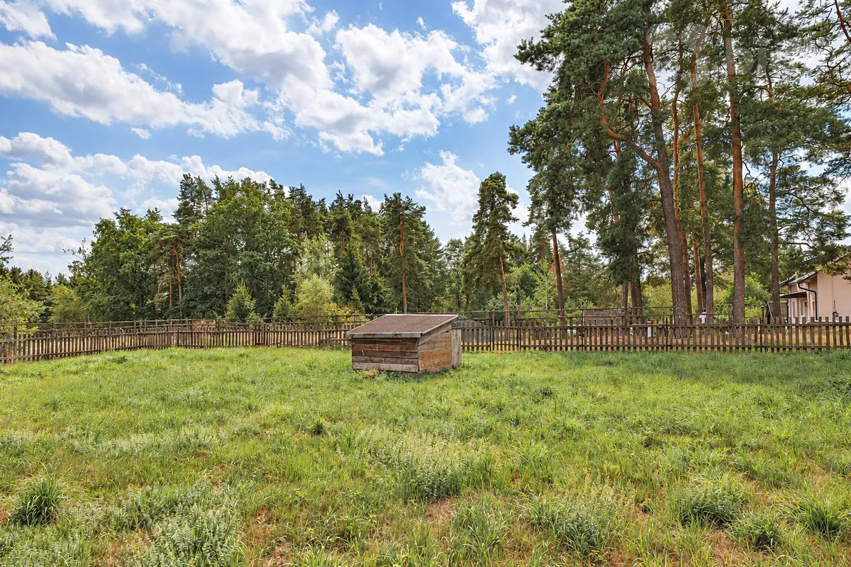 Fotka 9 z 14